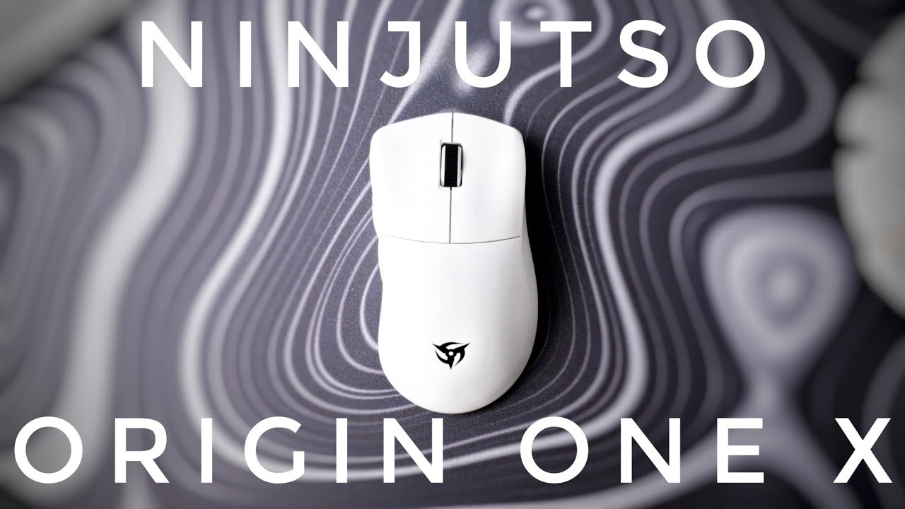 Ninjutso Origin One X - Die BESTE Wireless-Ergo Maus für 60€! (eine Hassliebe)