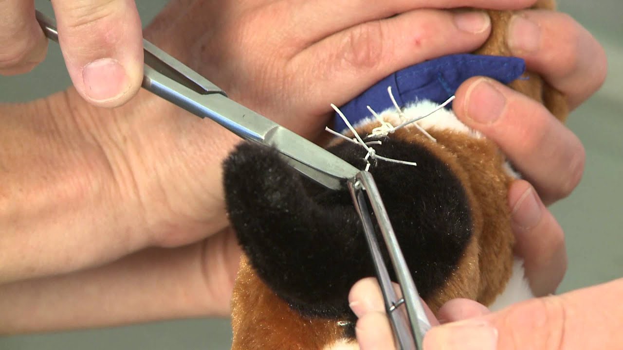 Removal of Sutures