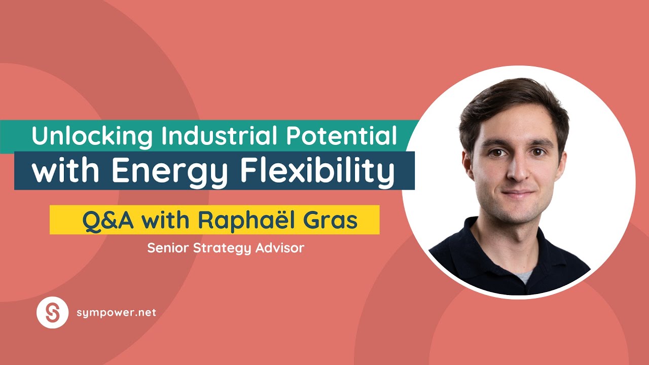 Is Energy Flexibility the Solution to High Industrial Energy Costs?