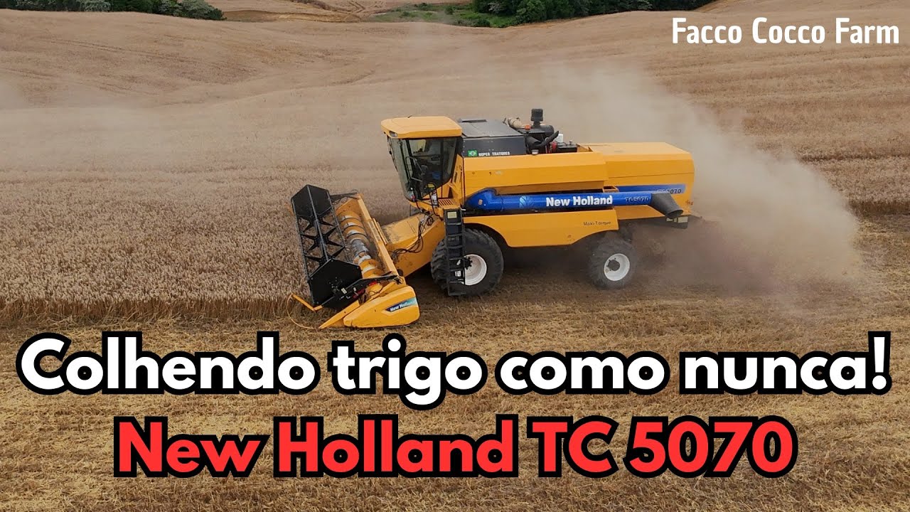NEW HOLLAND TC 5070 EM AÇÃO: COLHENDO TRIGO FEROZ DA OR GENÉTICA COM ALTA EFICIÊNCIA!