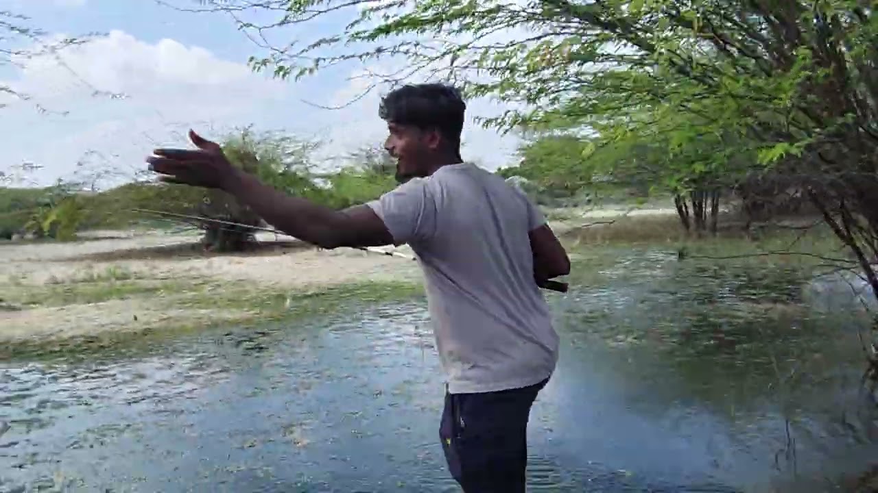 சும்மா விரட்டி விரட்டி பிடித்த விரால் மீன்கள் இன்னிக்கு நாள் ஃபுல்லா ஒரே பண்ணு தான் வாங்க 