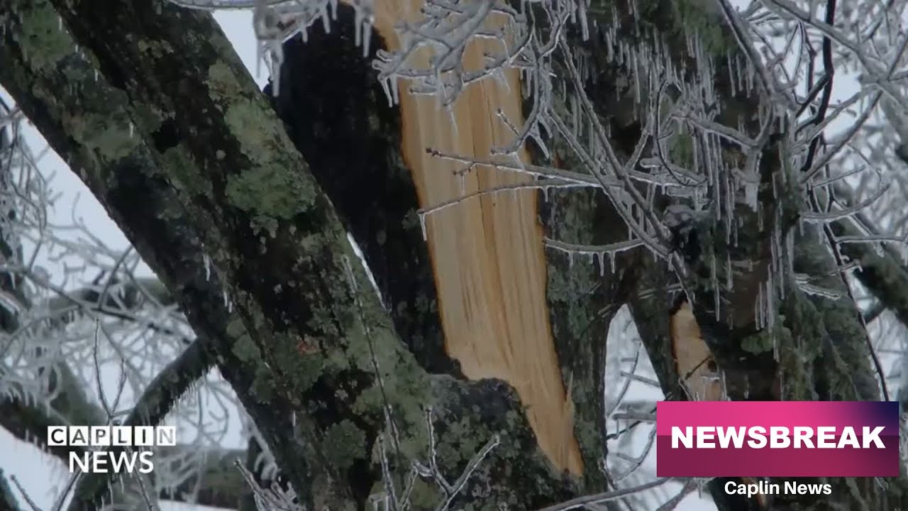 Newsbreak 01/28/2026