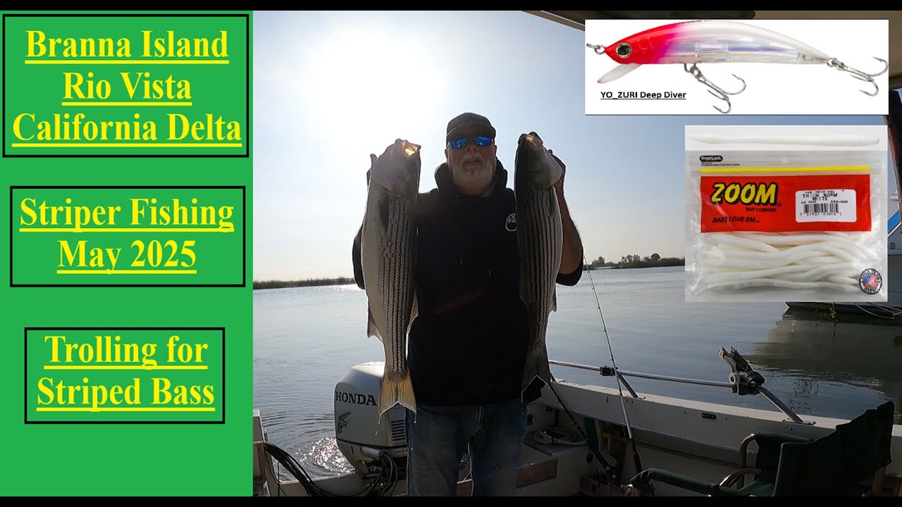 Brannan Island - Rio Vista - California Delta - Striper Fishing - May 2025