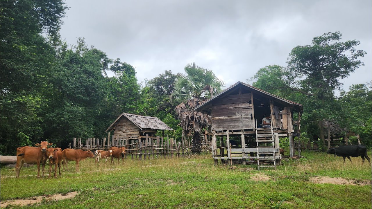 ນອນພັກຢູ່ບ້ານລັບແລ//นอนพักอยู่บ้านลับแล Dong Una