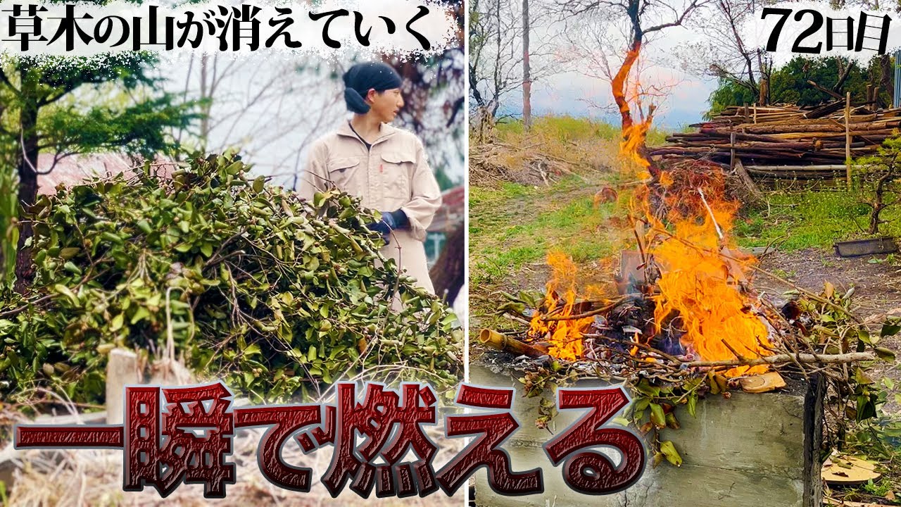 【ストレス解消】大量の草木が気持ちいいほど燃えて無くなる 庭の片付け【72日目】