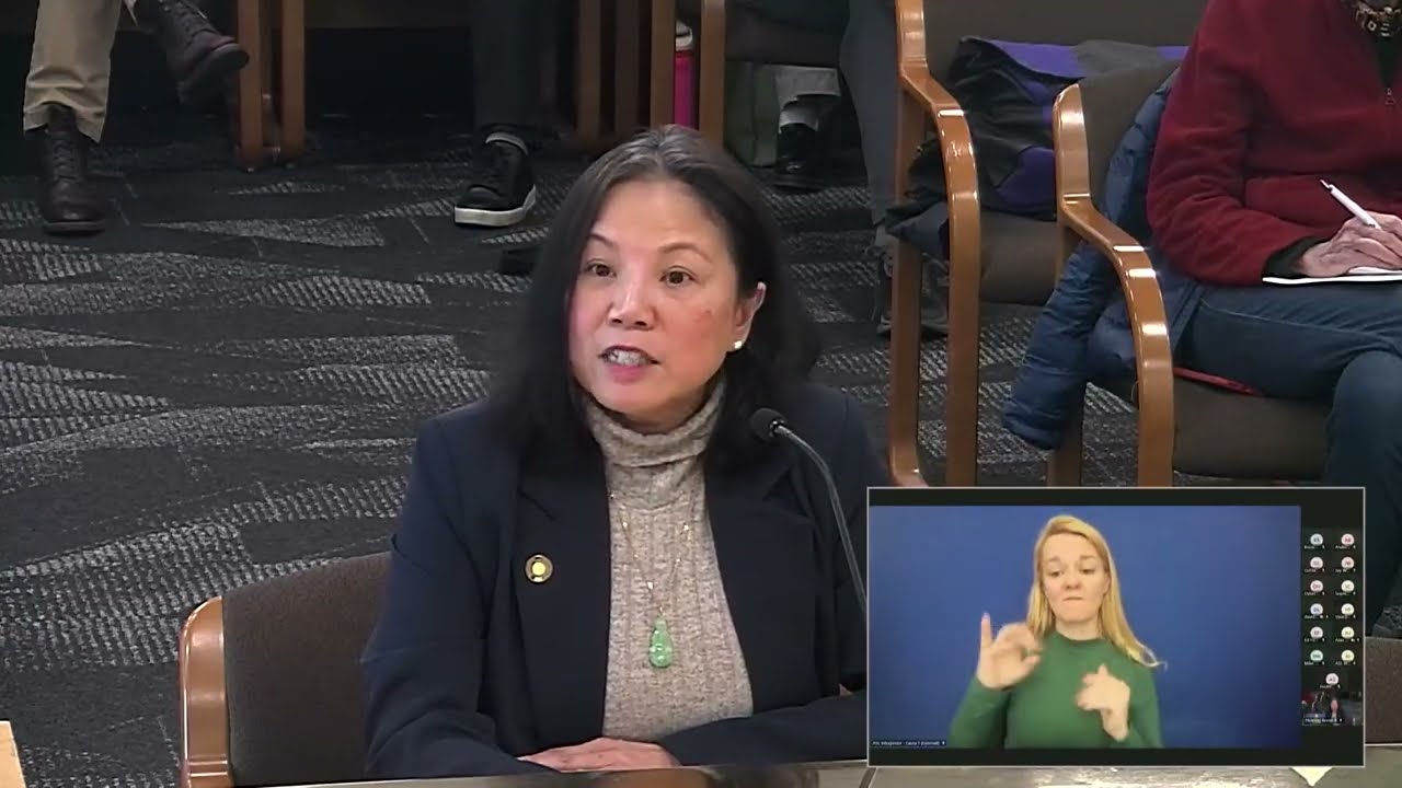 Chair Tran delivers testimony on Fuel Diversification in House Emergency Management & Veterans