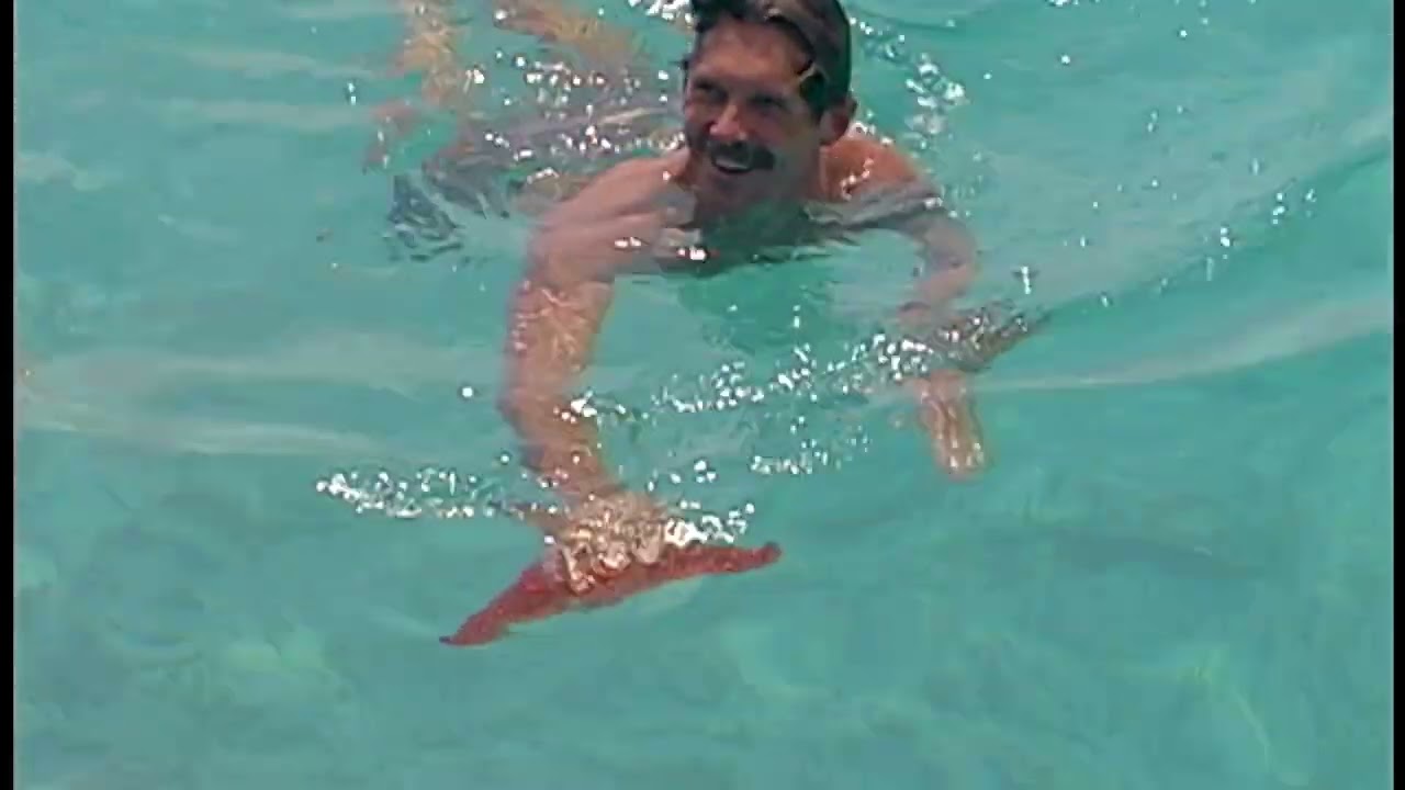 INDIES TRADER during the Quiksilver Crossing   HD 720p