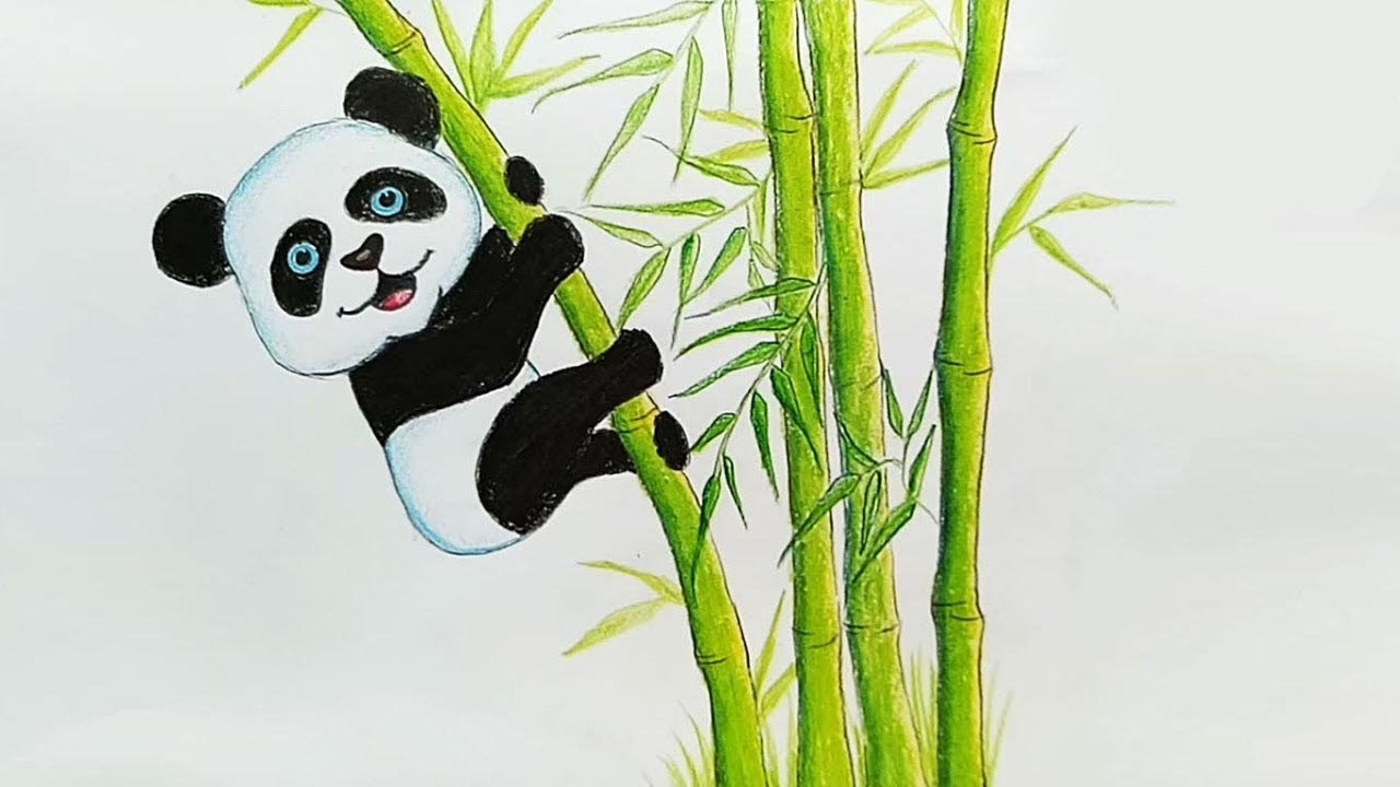 How to draw a panda in bamboo forest step by step