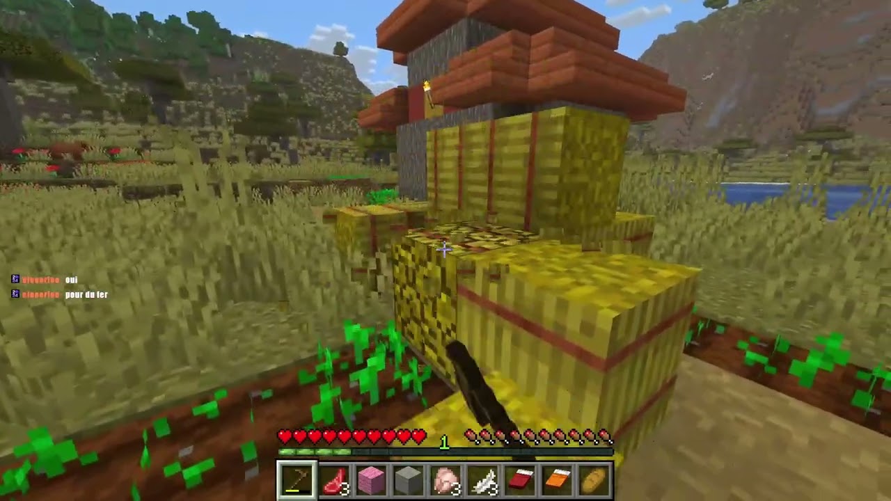 VOD - Nouveau PB 4:00 | Minecraft