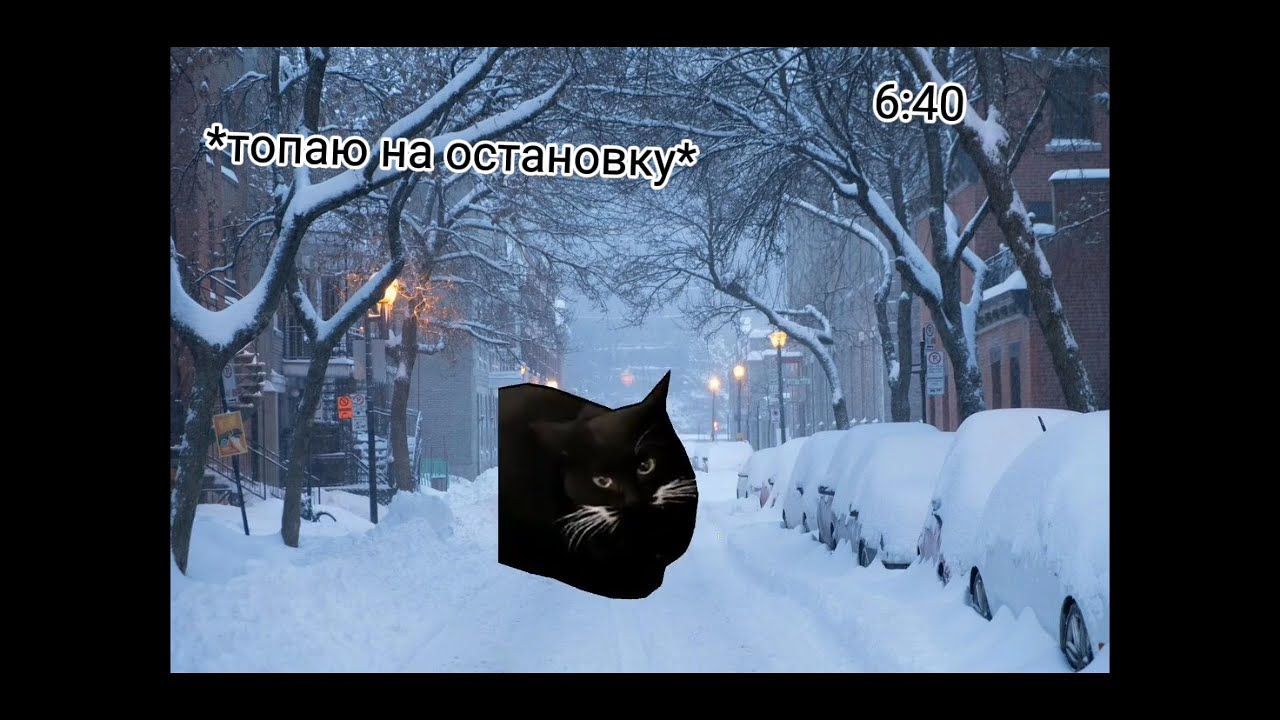 СБОРНИК ВИДЕО С МЕМНЫМИ КОТАМИ! 7 минут непривывных видео с мемными котами
