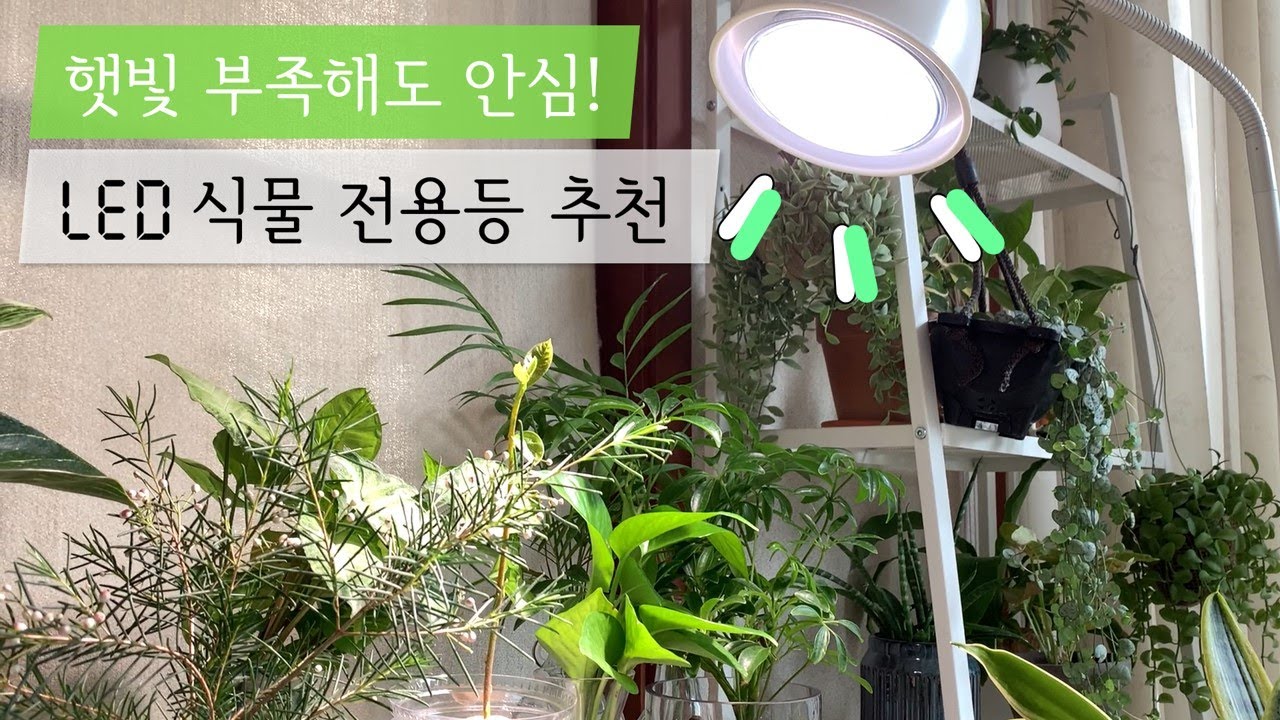 햇빛 안 드는 집에 꼭 필요한 LED 식물 조명💡 같이 쓰면 꿀조합인 이케아 스탠드도 소개해요!
