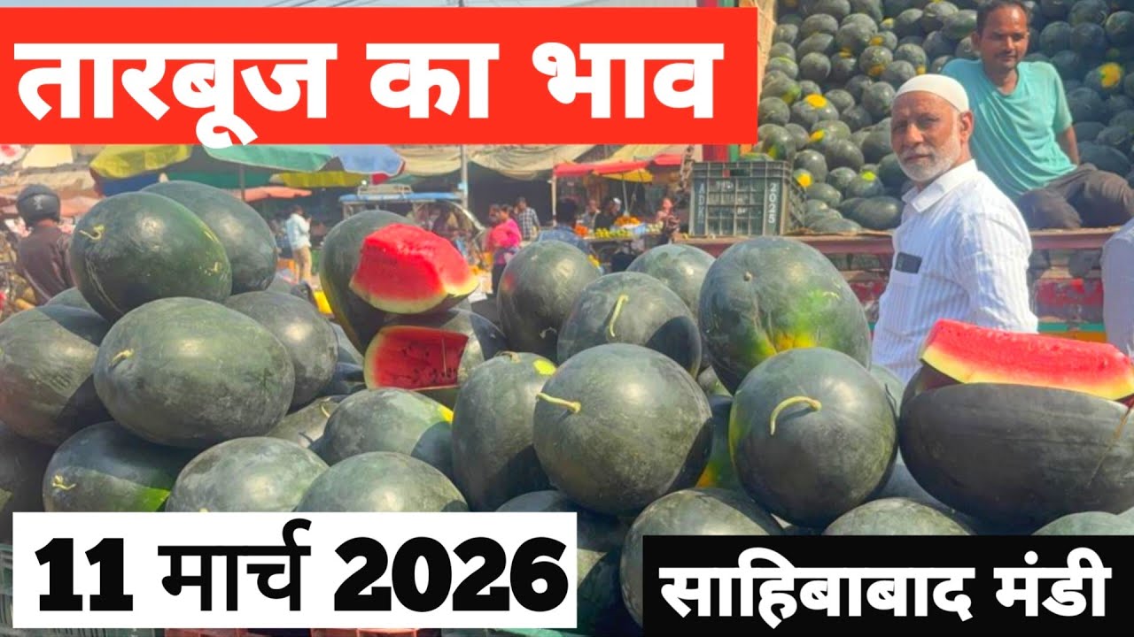 11 March 2026🍉तारबूज़ का भाव साहिबाबाद मंडी Today Watermelon Rate in Sahibabad Mand |Bharat ke Bazar