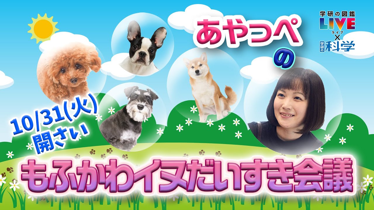 【ライブ配信】あやっぺのもふかわイヌだいすき会議
