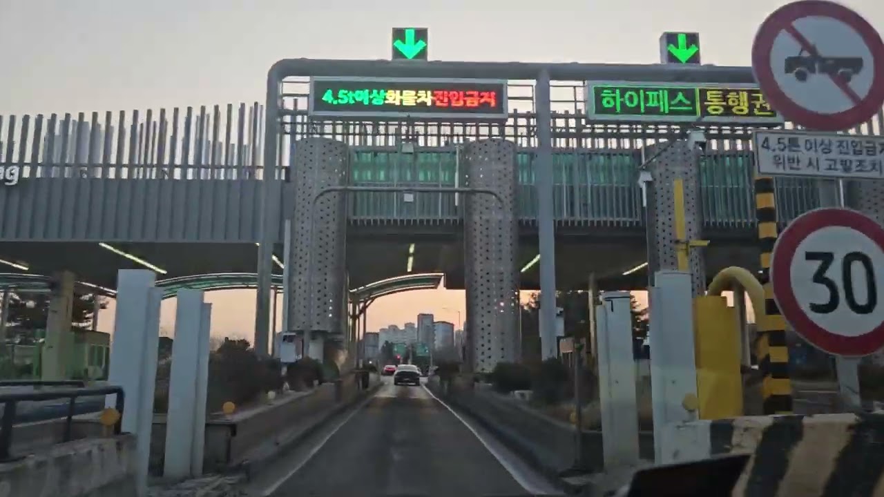 고고
