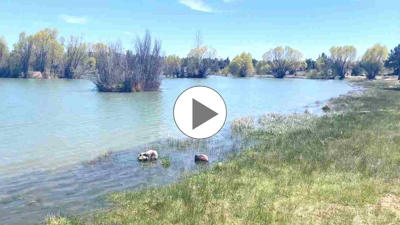 Reynolds Pond near Bend, OR - Adventure Guru