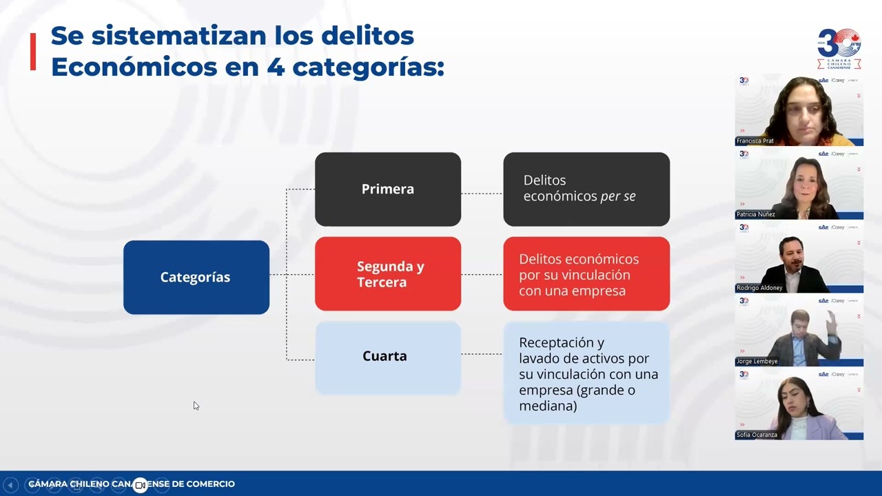 Webinar Ley de Delitos Económicos y sus Impactos en las Empresas