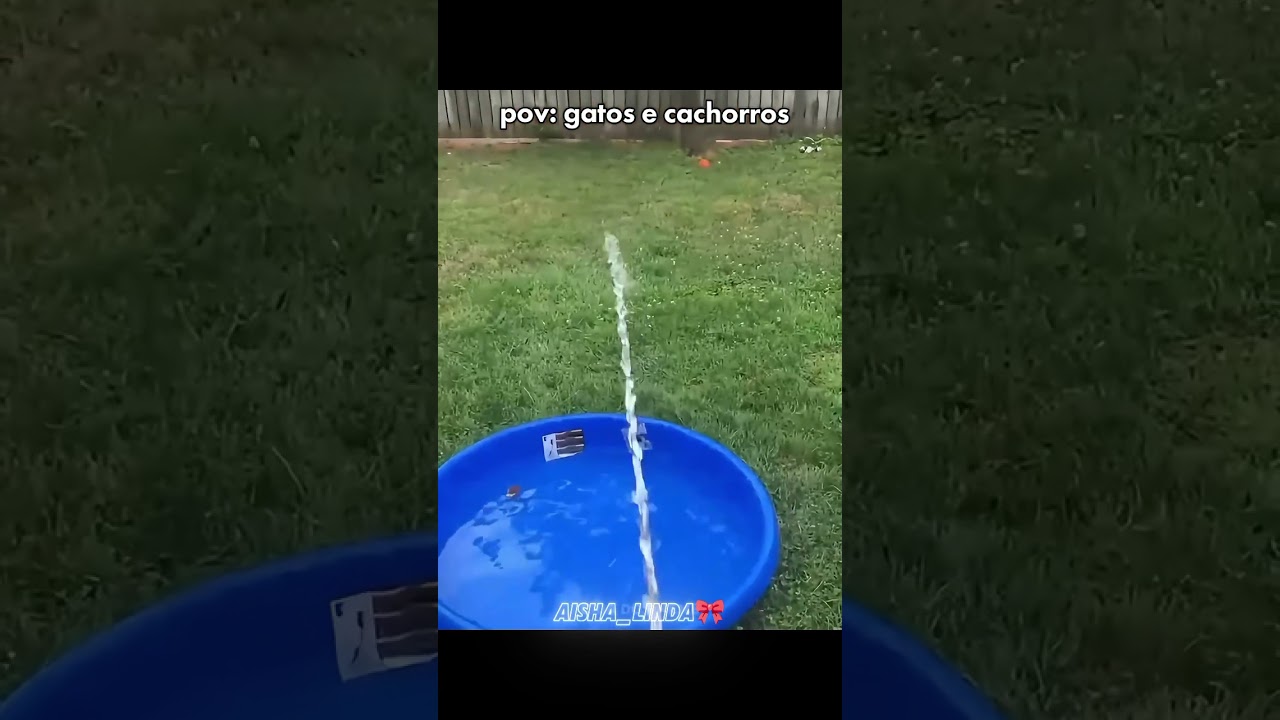 o áudio  todo travado scr kakakkakakakak