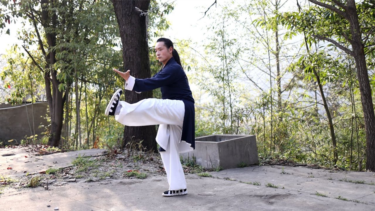 武当秘传太极拳，动作舒缓，自然流畅，慢动作展示，大家一起学