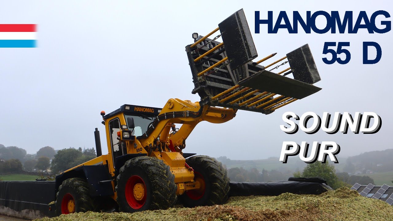 [Sound pur] Hanomag 55D beim Maissilo walzen | Luxemburg 2023/24