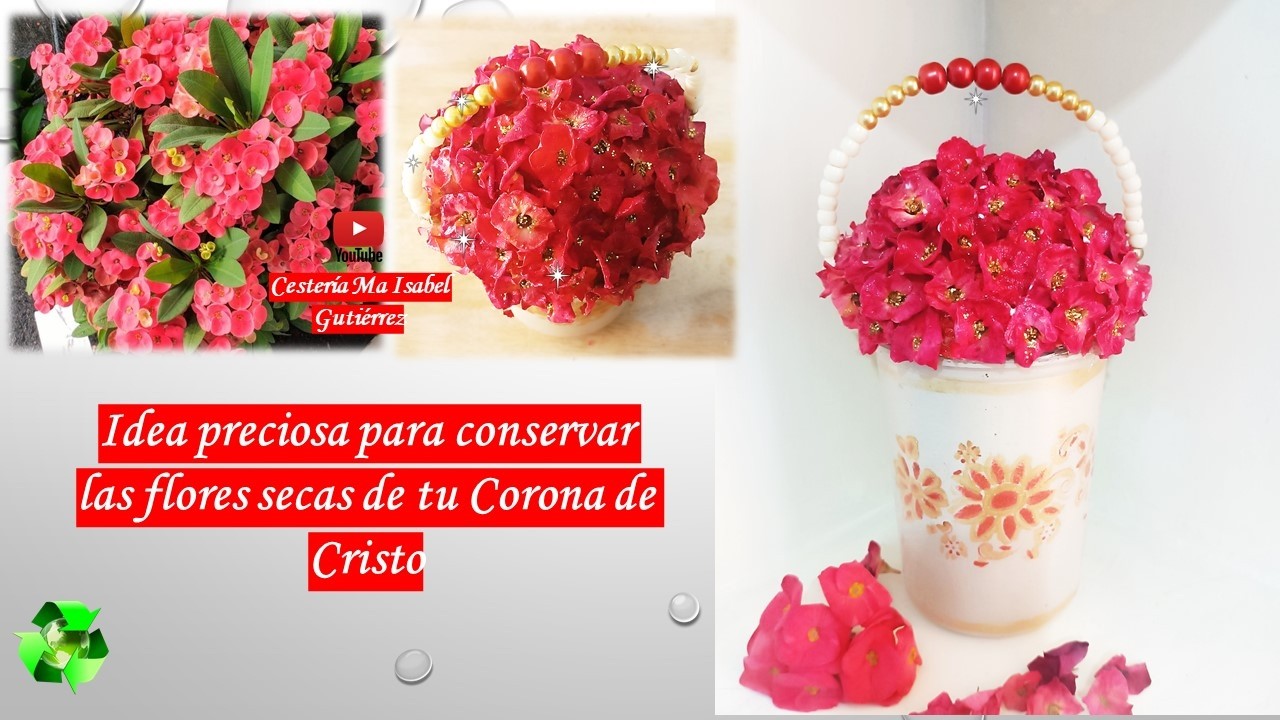 Idea preciosa para conservas las flores secas de tu Corona de Cristo