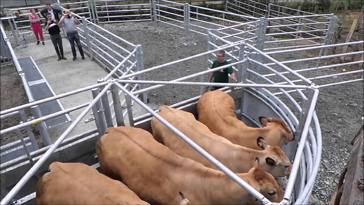 Corral de contention JOURDAIN n°1 - 3e vidéo