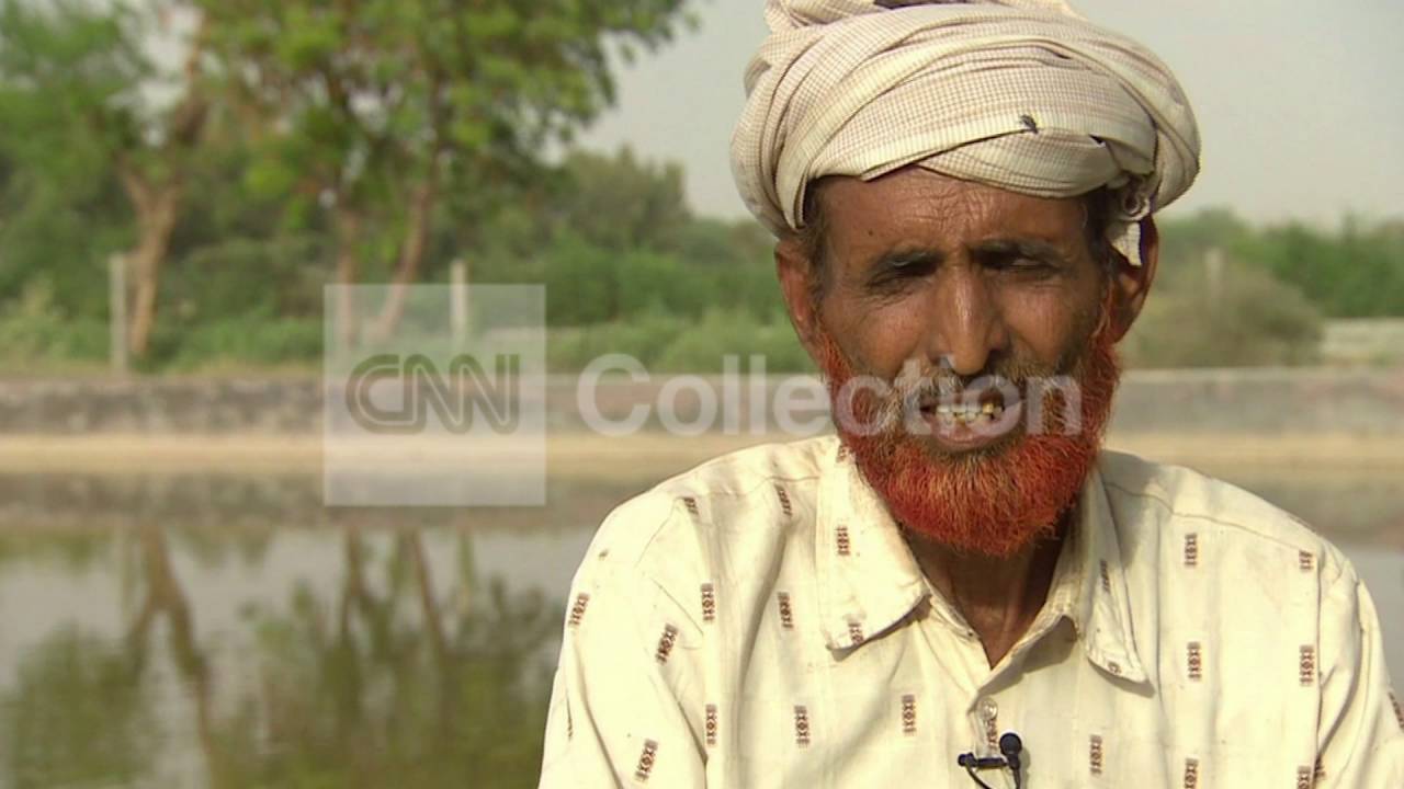 INDIA: HOMEGROWN OLIVE OIL