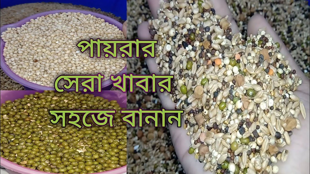 পায়রার সহজে পুষ্টিকর খাবার তৈরি।কবুতরকে কমদামে কি কি মিক্স খাওয়াবেন।Pigeon Mix Feed & Pigeons Food