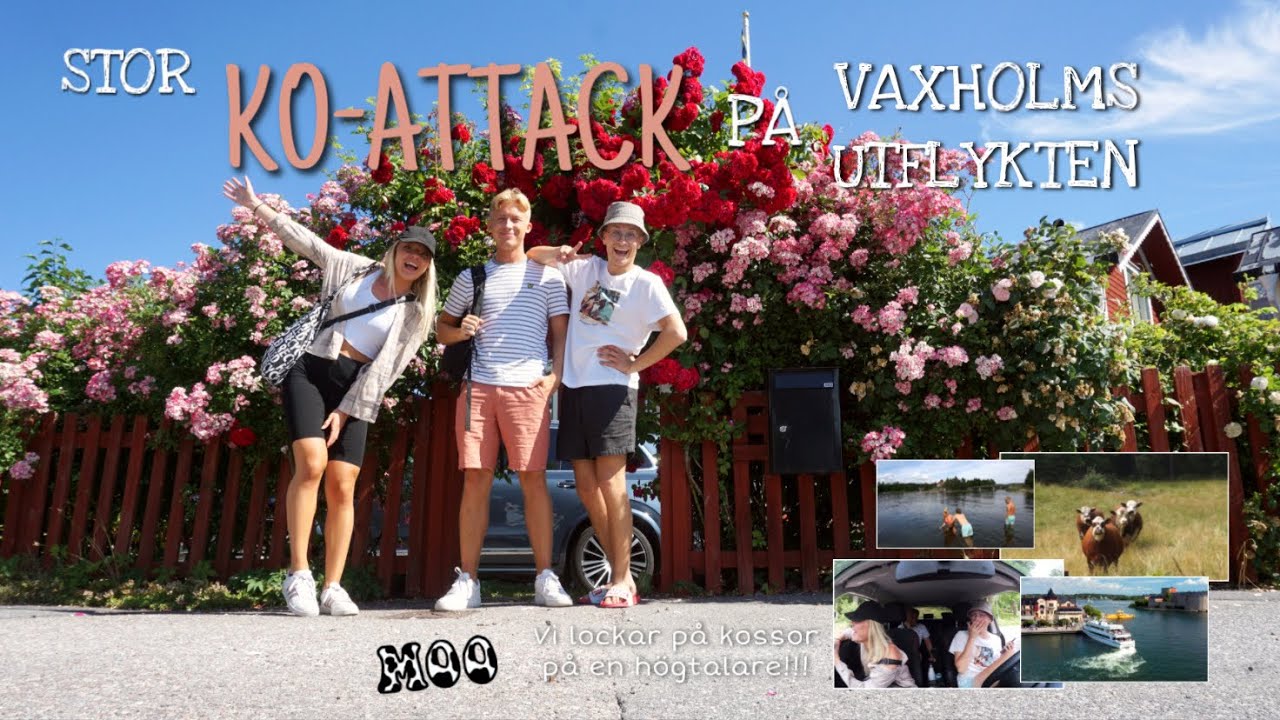 Ko-attack & en Vaxholms utflykt! | VLOG² 171
