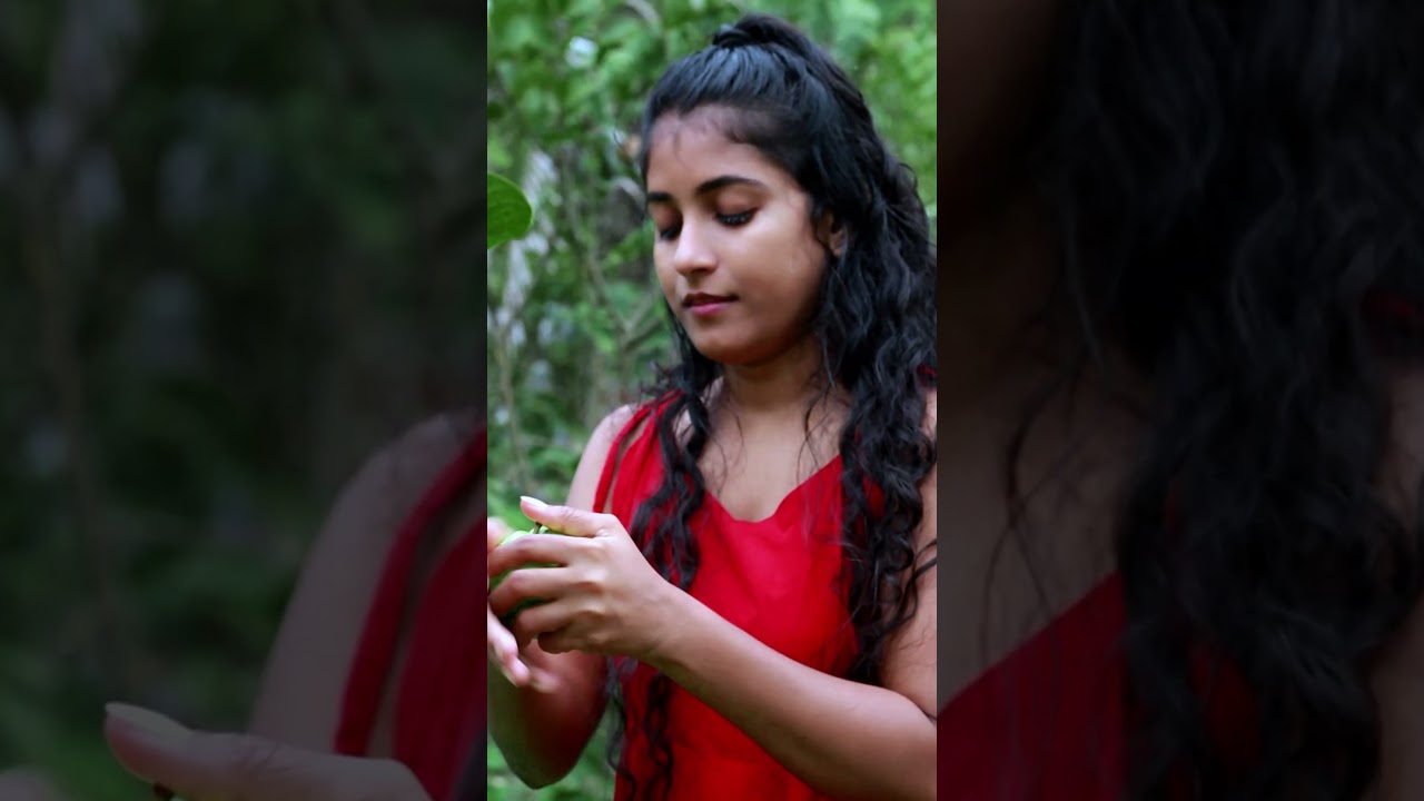 Guava Picking | Taste of the Village