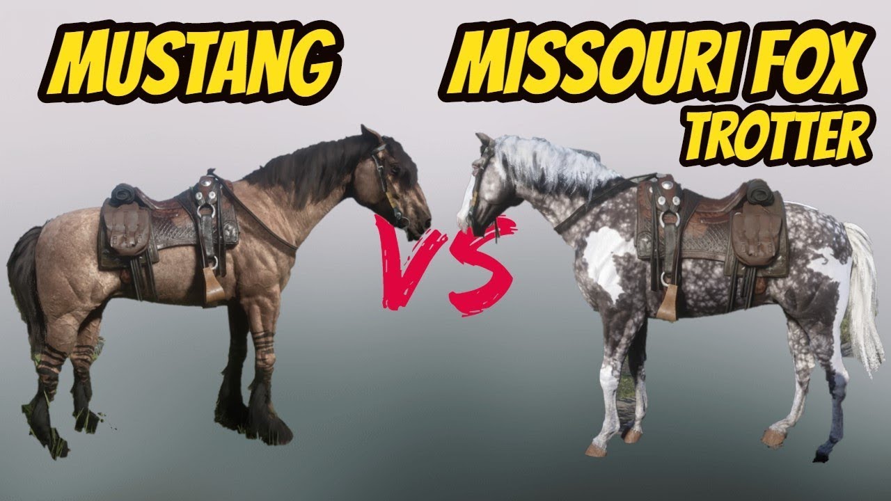 Missouri Fox Trotter VS Mustang! Battle Of The Best Horse ! Red Dead Redemption 2