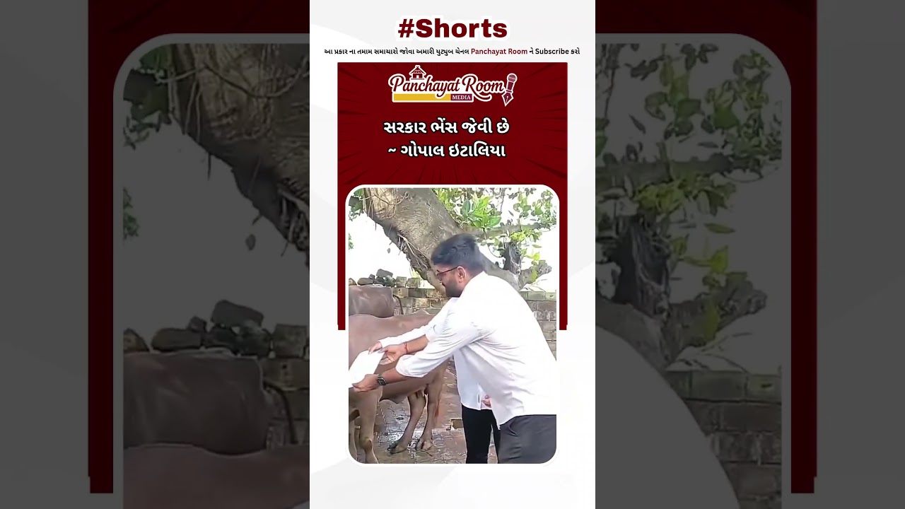 gopal Italia speech | ગોપાલ ઇટાલિયા એ સરકાર ને કેમ ભેંસ જેવી કીધી જુઓ | panchayat room #shorts
