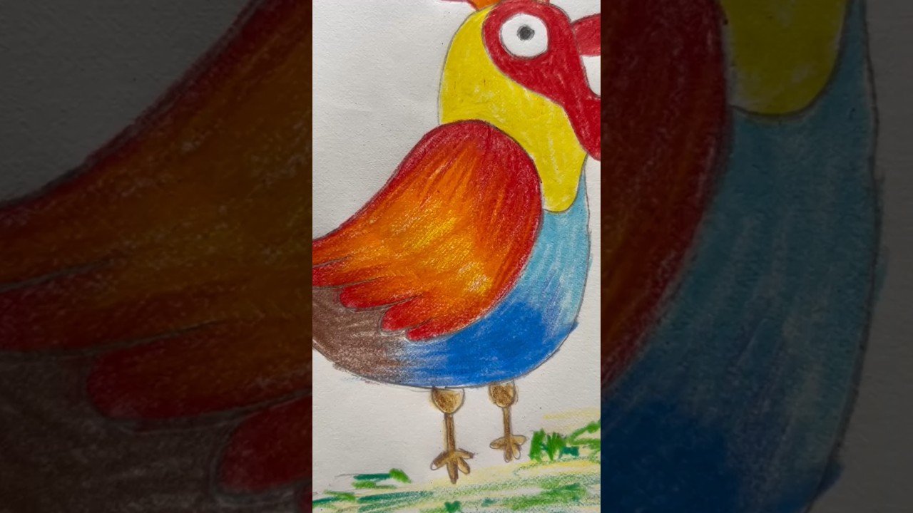 Rooster 