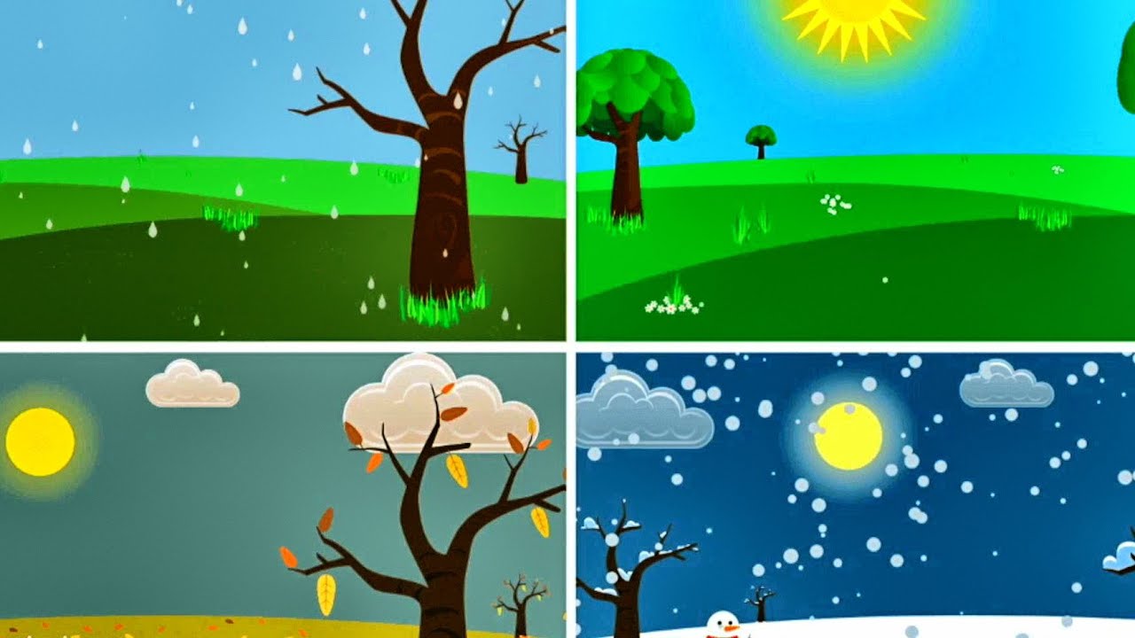 Las Estaciones del Año para Niños. Video Educativo de Lunacreciente