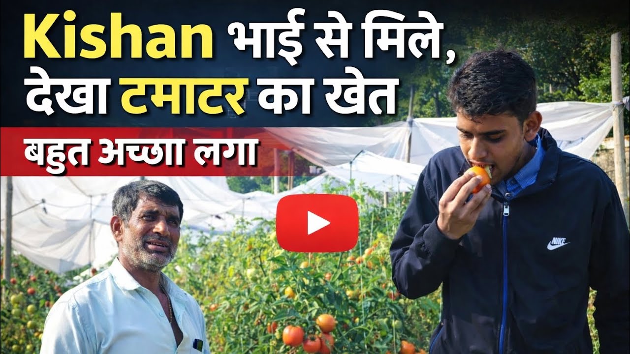 टमाटर का खेत देखकर रह गए हैरान 😯 गांव में टमाटर की खेती का पूरा सच 🍅🍅 Farmer Visit Vlog