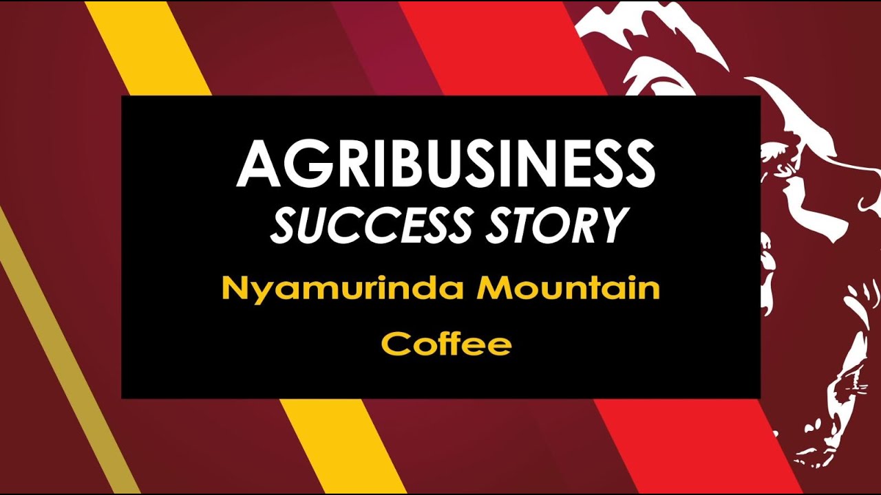 Agribusiness Success Story - Nyamurinda Moutain Coffee