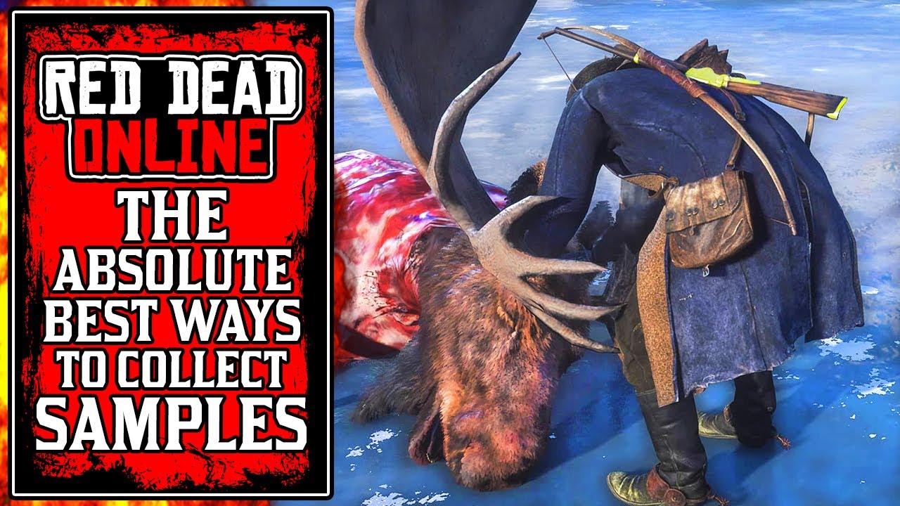 The BEST WAYS To Collect Samples & Rank Up Fast! New Red Dead Online Naturalist Update Tips (RDR2)