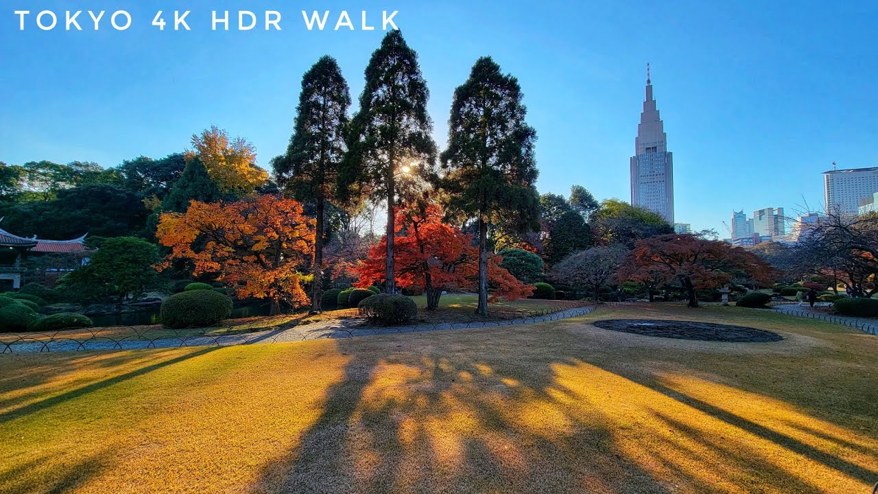 Tokyo's Most Beautiful Park? Shinjuku Gyoen Autumn Walk 🍂 4K HDR 新宿御苑