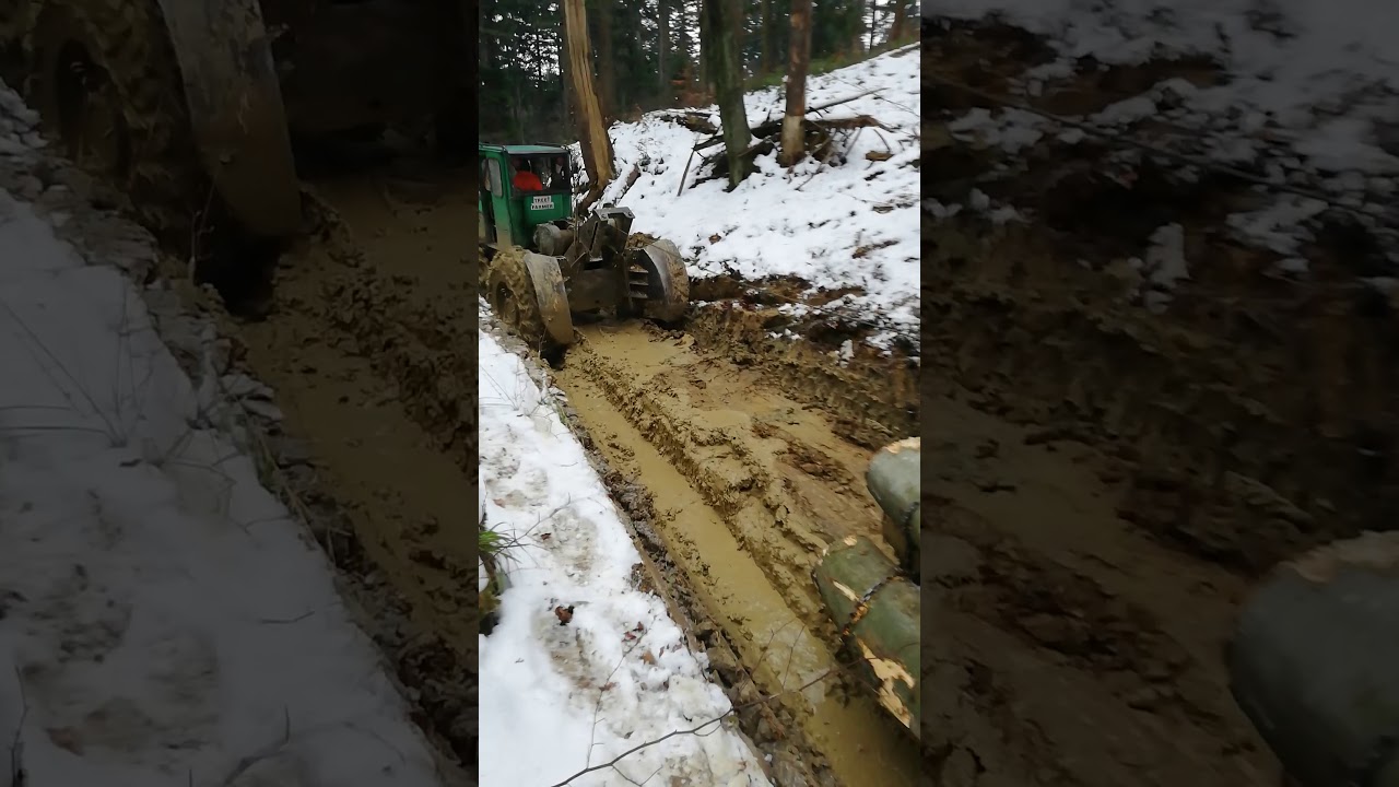 TREE FARMER
