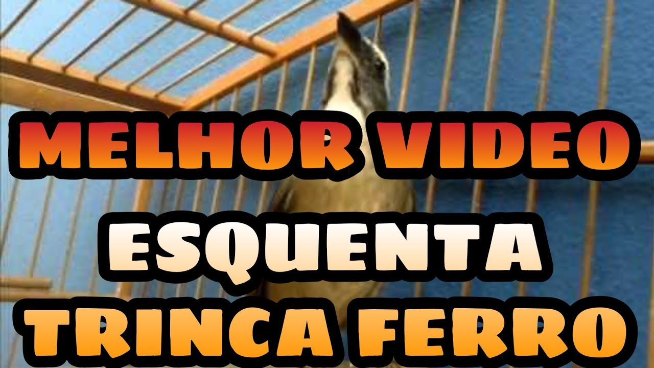 TRINCA FERRO PEGANDO FOGO 🔥EM 5 MINUTOS [GARANTIDO]