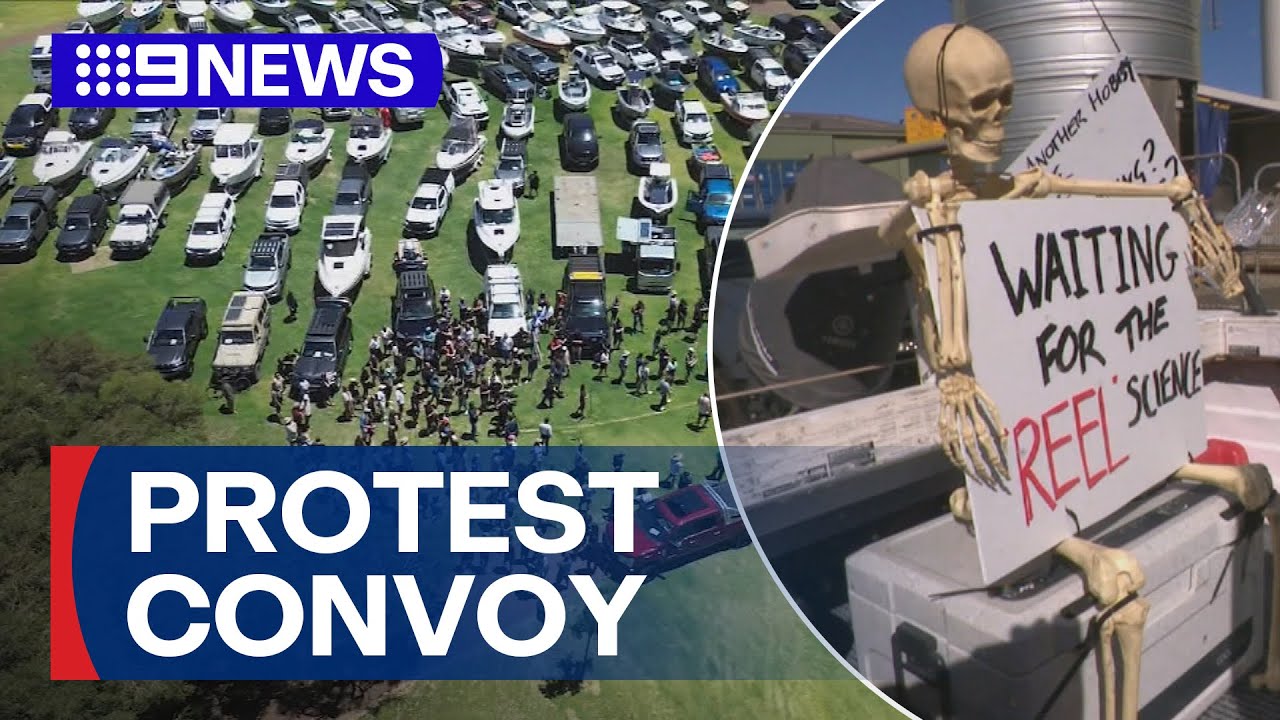 Hundreds protest WA government's fishing ban | 9 News Australia