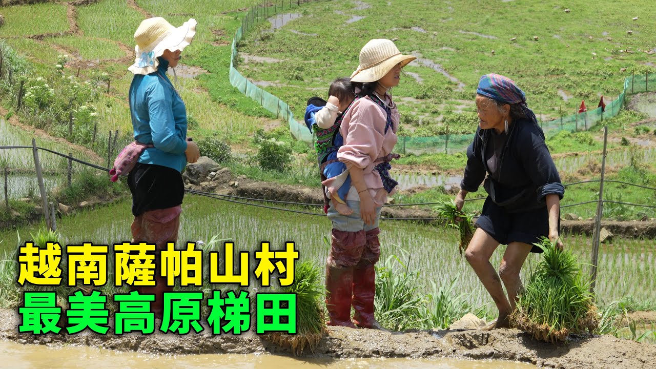 骑摩托深入越南北部山区，萨帕村民生活原始，心中五味杂陈！遇见世界最美十大高原梯田🇻🇳【阿树闯越南】EP22