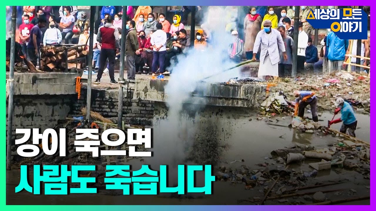 환경오염으로 인해 죽어가고 있는 세계 곳곳 성스러운 강ㅣ세모이 [34회] / YTN2