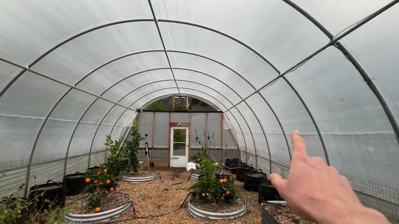 New Year’s Day Greenhouse Garden Tour - dedicated to my dad