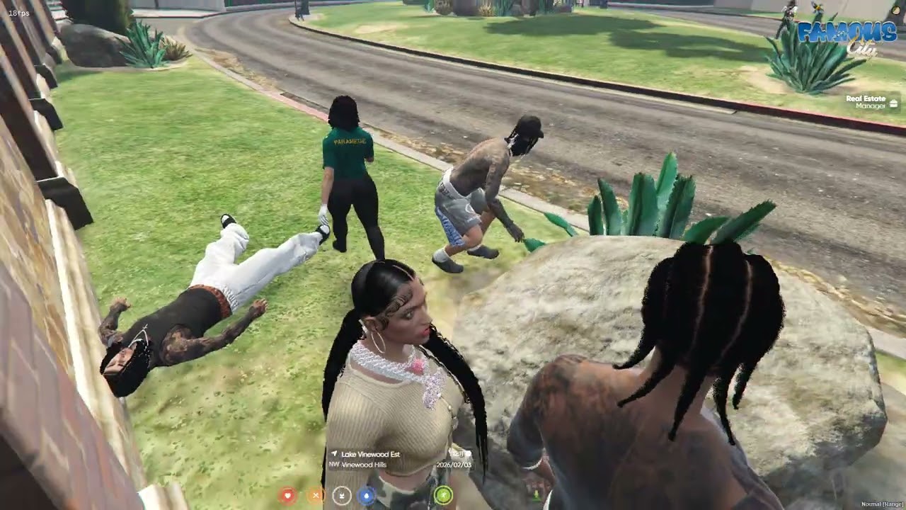 RP/ Roleplaying Games/ Fivem server / GTA 5