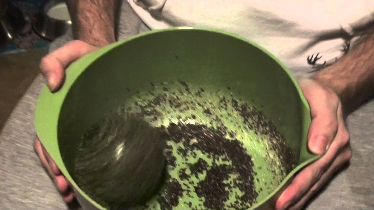 Making mustard with a cannonball Part 1