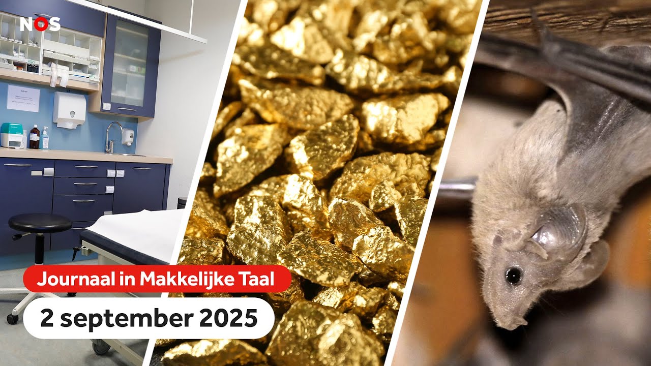 Plan voor meer huisartsen, goud en zilver erg duur en vleermuizen zorgen voor overlast bij verbouwen