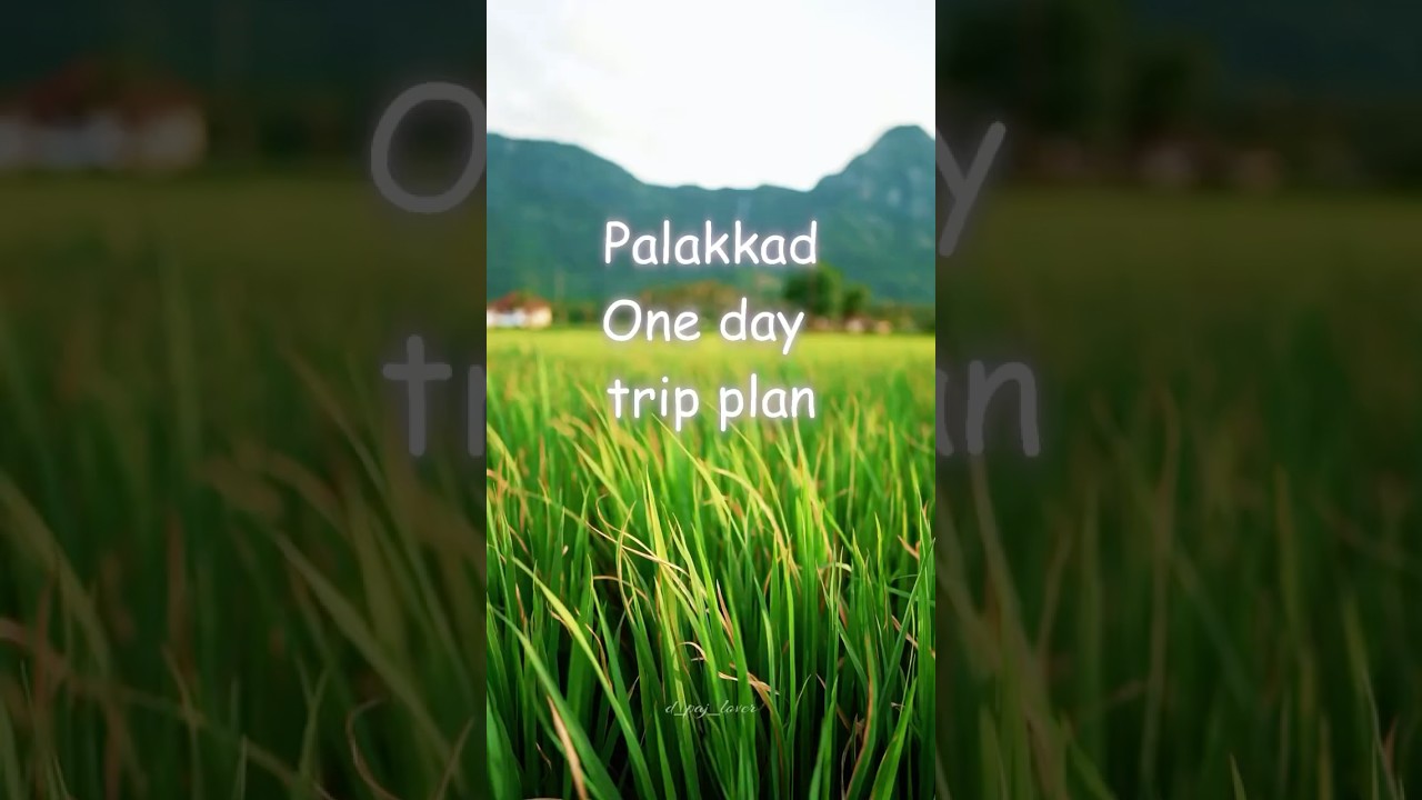 Palakkad one day trip plan #palakkad #travel #palakkadan