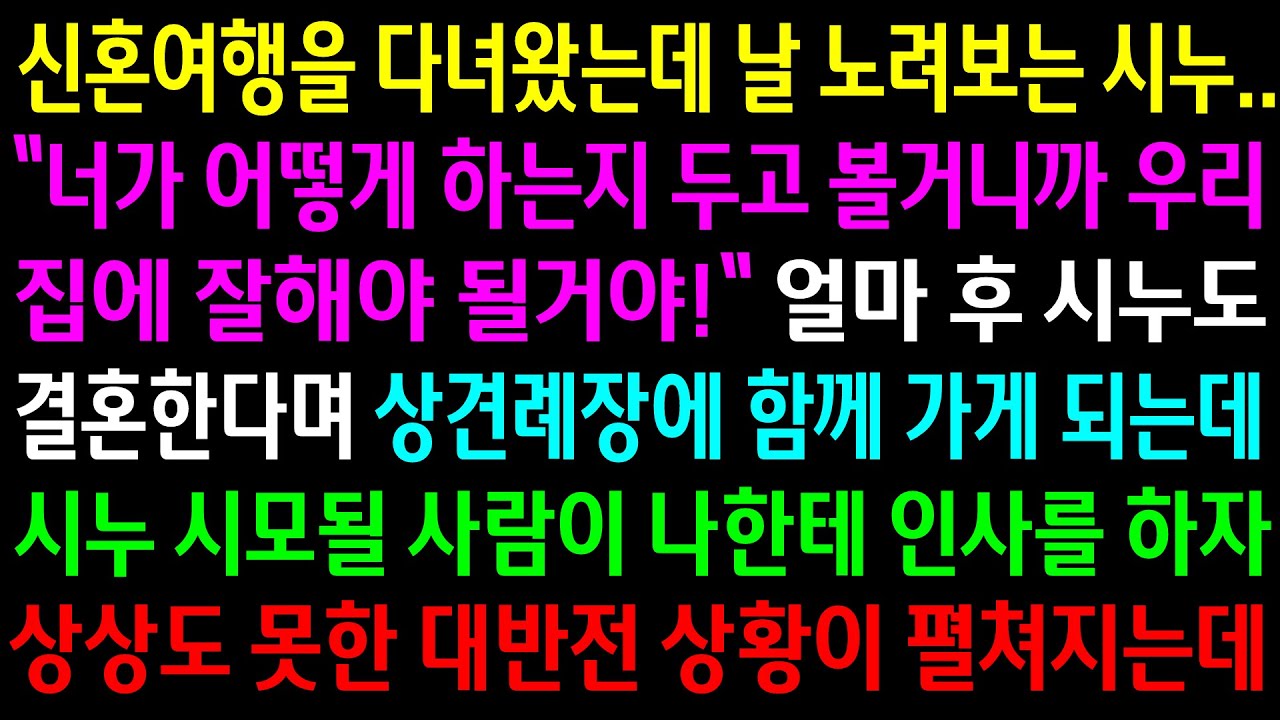(실화사연)신혼여행을 다녀왔는데 내가 어떻게 하는지 보겠다며 노려보던 시누..얼마후 시누 상견례장에서 시누 시모될 사람이 나한테 인사를 하자..[신청사연][사이다썰][사연라디오]