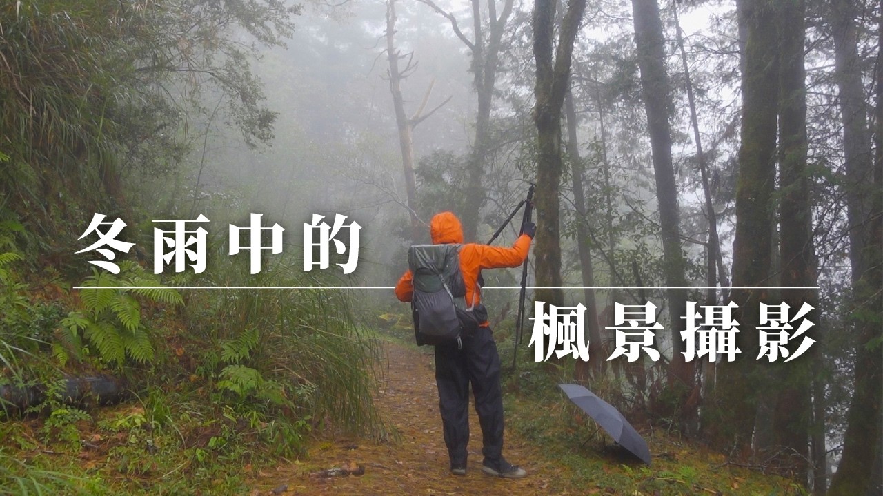 隆冬裡的雨景，泥濘間的秋色風景攝影。