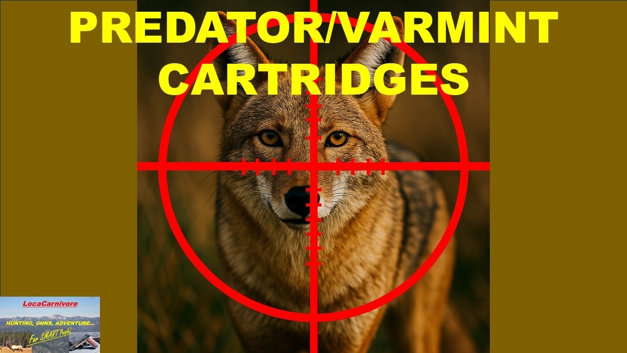5 Predator-Hunting Cartridges You Must Know!